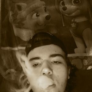 Meet your Posher, Dave